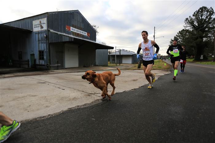  http://www.today.com/pets/adorable-dog-wandered-alabama-half-marathon-finished-7th-t68986