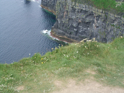 アイルランド留学生活Vol.38 アイルランド国内観光　毎年死者がでる！？ゴールウェイモハーの断崖へ