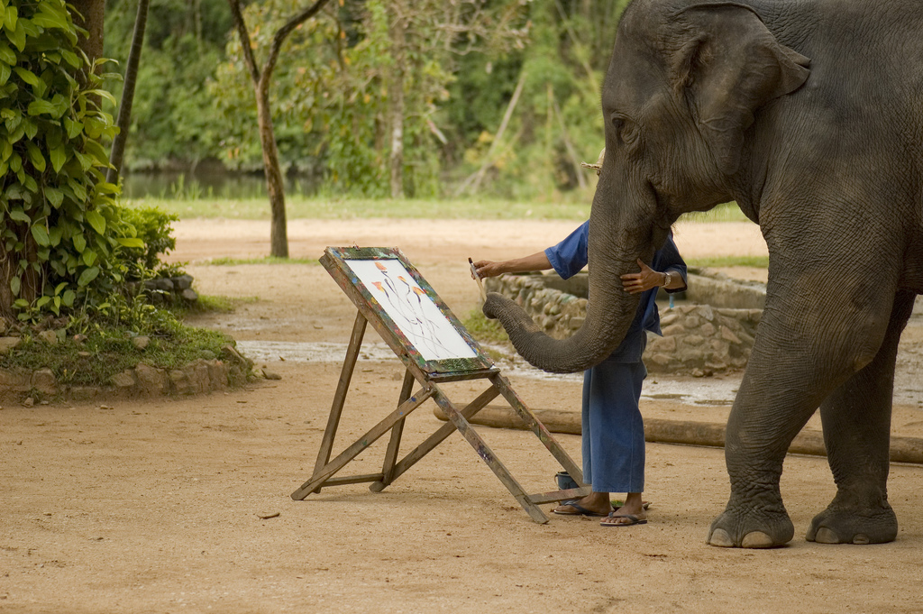 タイ・チェンマイのお絵描き象さんに会いに行こう！