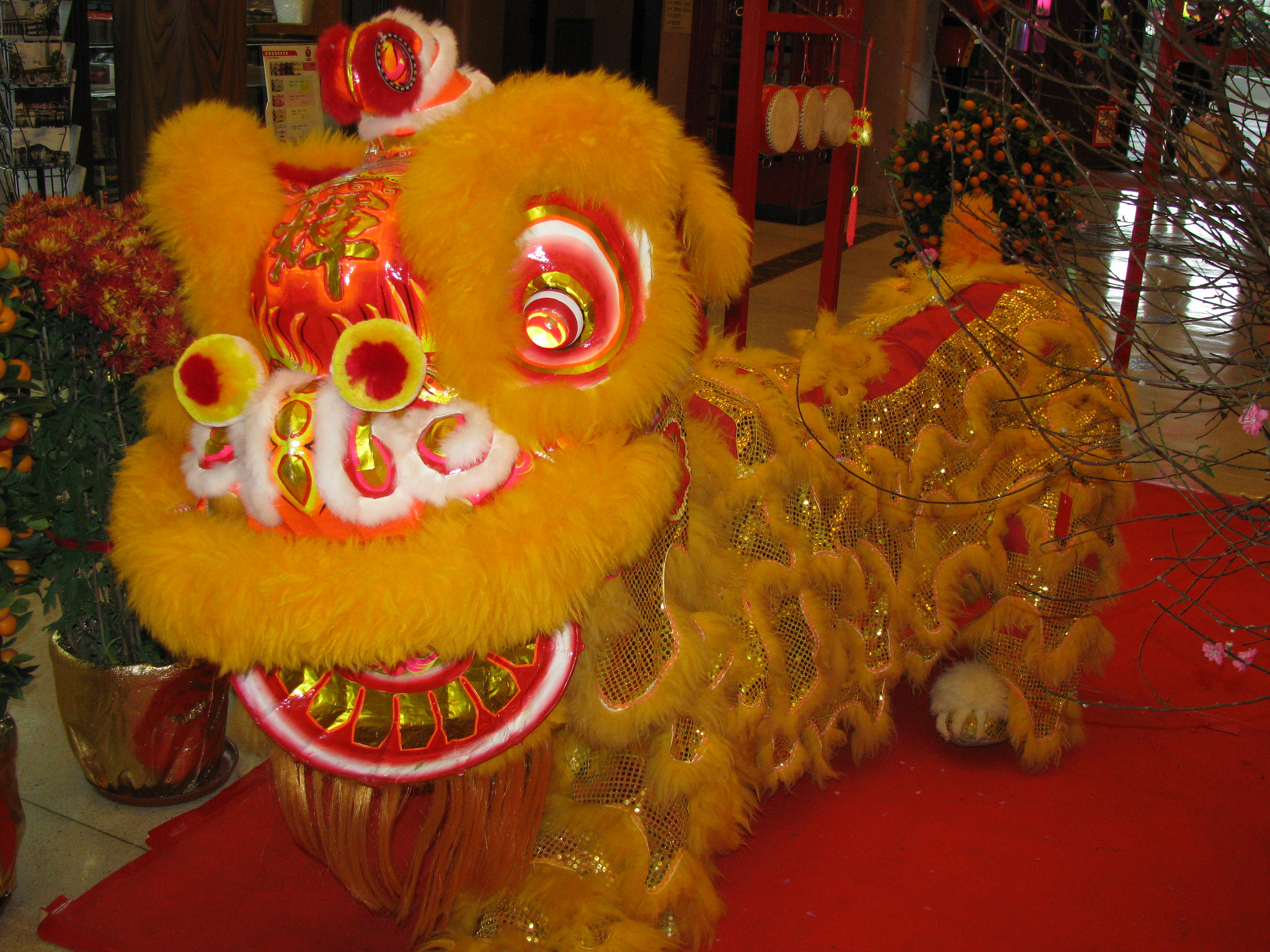 中国文化圏の国が最も熱狂する最大の祭り・旧正月を紹介！　香港編